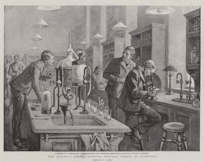 Niedawno otwarta Szkoła Chorób Tropikalnych w Liverpoolu autorstwa William T. Maud